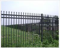 安平衡林厂家供应公园铁艺围栏|园艺护栏网价格优惠