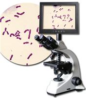 新视窗智能显微镜高清实验室互动教学系统