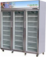 供应三门大容量GSP药品阴凉柜药品展示柜药品冷藏柜