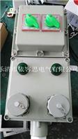 2回路防爆检修电源插座箱BXX52-2/32防爆电源插座箱
