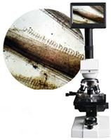 福州泉通出售水产鱼病检测数码显微镜方便携带一体化设计