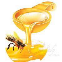 巴西蜂蜜黄埔进口报关，黄埔蜂蜜进口报关代理