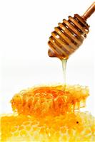 加拿大蜂蜜进口清关需要的费用，蜂蜜进口清关需要的费用