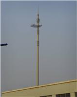 30米仿生通讯塔 鑫丰 制作仿生树塔 塔体稳固 使用寿命长