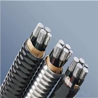 铝合金电缆、铝合金铠装稀土电缆、铝合金电缆价格质量好