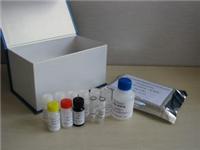 专业酶联*分析试剂盒供应厂家_上海酶联*分析试剂盒报价