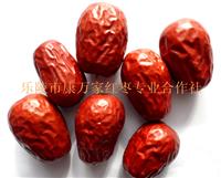 山东大型新疆红枣批发市场