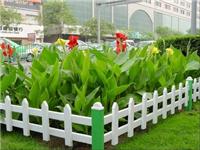PVC园艺护栏|PVC园艺围栏|PVC园艺栅栏|河北省安平县蓝飞PVC护栏厂