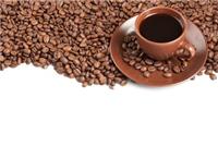 咖啡豆一般贸易进口报关/上海港提供运输服务