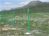 安平县衡林出售双边丝围栏农业畜牧业场地围网