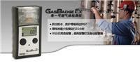 GB90 Ex 单一可燃气体检测仪