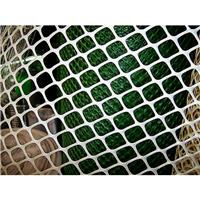 衡林供应塑料平网、养鸡网、养殖网