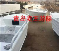 青岛麦王供应CAF涡凹气浮机的生产，**