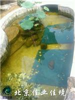 水池净化系统|鱼池净化|景观水池净化处理|庭院水系净化