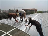 供应山东耐力板 阳光板暖棚养殖 冬暖式大棚阳光板 耐力板