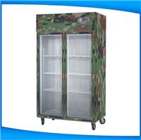 钢化玻璃门仪表储存柜/温控仪表存储柜/仪表恒温恒湿特种柜