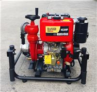 柴油机动消防泵