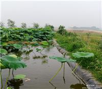 供应电厂垃圾场调节池防渗膜覆盖，高尔夫球场人工湖防渗膜