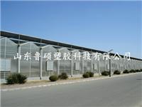 滨州耐力板 阳光板价格 滨城温室工程阳光板