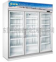 帝丽雪便利店冰柜饮料冷藏柜冰箱商用三门展示柜冷柜生产厂家
