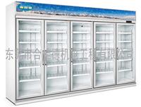 帝丽雪 厂家直销 便利店保鲜柜 超市展示柜 立式冰柜 五门冷柜