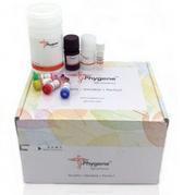 飞净 Phygene 质粒小量提取试剂盒 Plasmid Mini Preparation Kit