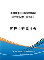 唐山代写可行性研究报告信誉好公司