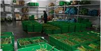 安徽省合肥市蔬菜保鲜冷库厂家建造
