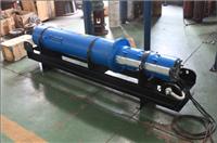 天津小型潜水电泵-天津小型热水潜水泵-大型污水泵
