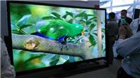 138寸电视机150寸电视机广州一一家生产厂家显示行业成员者