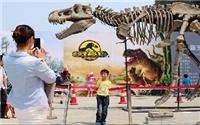 恐龙模型租赁出租 侏罗纪恐龙展租赁 大型恐龙展览