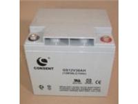 光盛蓄电池GS12-40 12V40AH免维护蓄电池