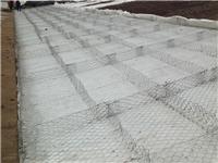 5 锌铝合金雷诺护垫 生态覆塑格宾垫 双隔板雷诺护垫施工