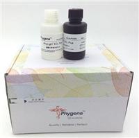 飞净 Phygene PhyLight ECL Plus**敏化学发光试剂盒