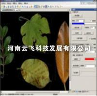 植物图像分析系统厂家 植物图像分析系统价格 河南云飞
