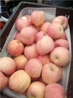 山东苹果产地供应、红富士苹果销售基地、红富士苹果价格