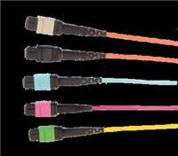 洛奇电子百通布线总代理光纤跳线配线架光纤盒综合布线解决方案