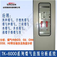供应TK-6000型煤气氧气分析系统业绩多、质量好