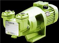 供应ALBIN泵RB系列圆弧齿轮泵 可提供进口报关清单）