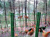 供应优质散养鸡围栏网#湖南养殖养鸡铁丝网规格#安平养殖围栏网厂家