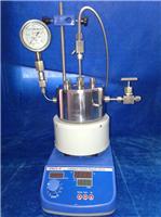 西安材质可选实验室**测温测压WCGF-微型高压反应釜