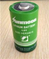 ER34615锂亚电池 ER34615 D型 19Ah 3.6V锂亚电池