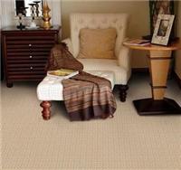 广州铺地毯公司-广州越秀区地毯厂家-广州簇绒地毯