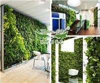 植物墙 绿植墙 植物墙花盆 墙体垂直绿化 墙体绿化花盆