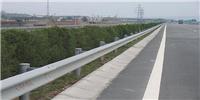 山东公路车道的隔离防护|波纹状钢护栏生产厂家|加强波形梁护栏供应商