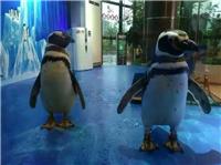 有海陆空动物表演出租海洋生物展览报价企鹅展租赁