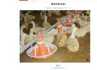 直销新型养殖鸭用喂养设备价格