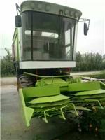 自走式大型玉米秸秆青贮机青储机生产厂家可以选择中旺机械图 片