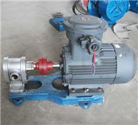 供应2CY不锈钢齿轮泵，不同材质的2CY系列齿轮泵 泊头市翼扬泵业生产