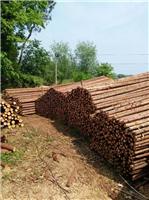 供应小头直径杉木杆 杉木杆性能
